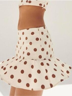Zara Cream Mini Skirt with Brown Polka Dots
Size  large  brand new